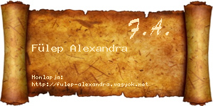 Fülep Alexandra névjegykártya